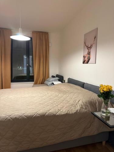 Apartment 4 Room, 2 Bath, Parking