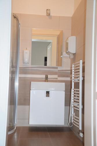 Palackeho Apartment Room Type - Apartment
