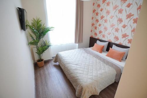 Elegant & Stylish Center Apartments! Room Type - Superior Double Room