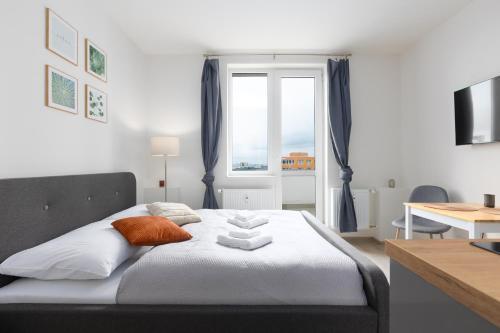 Apartmán u metra s terasou Room Type - One-Bedroom Apartment