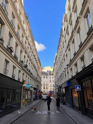 Appartement luxe Louvre Paris