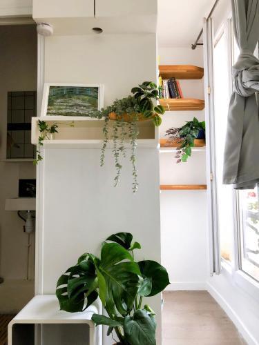 Green cozy studio au cœur de Paris - Tap to explore photos