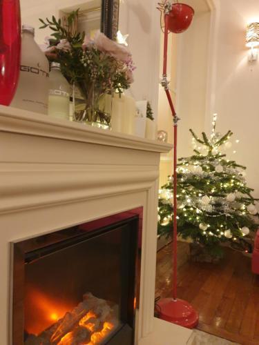 Appartement haussmannien cosy - Tap to explore photos