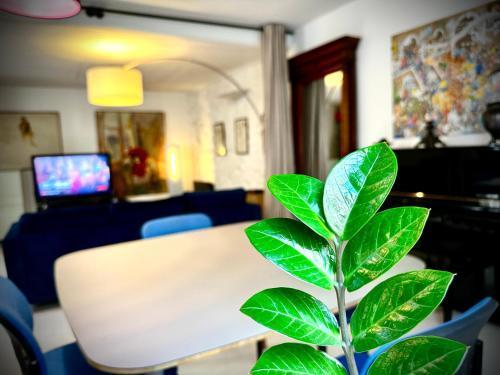 DELUX2 Rooms Large Studio Marais - Tap to explore photos