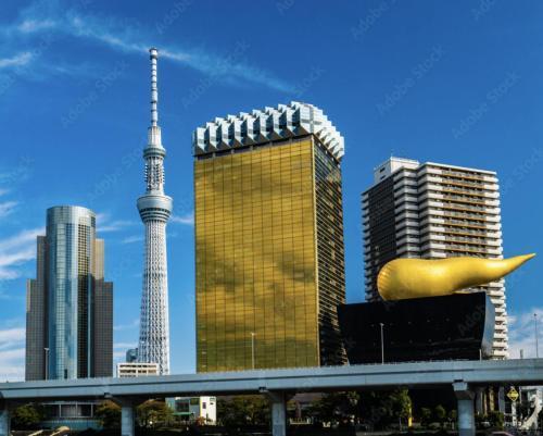 -船堀戸建- ディズニーランドへのアクセス良好! 船堀駅徒歩圏内