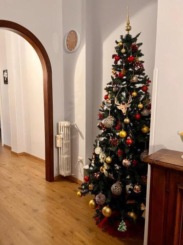 Flaminio Luxury Home - two stops from old Town - Tap to explore photos