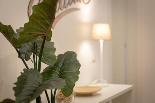 Colosseum Holidays - Three-bedroom Apartment - Tap to explore photos