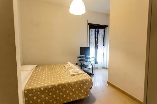 Naos C&G Hospitium