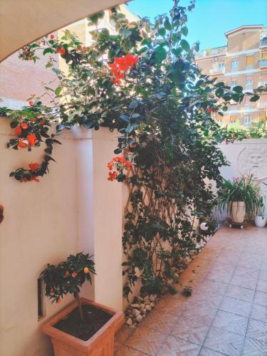 CasaLara Garden - Tap to explore photos