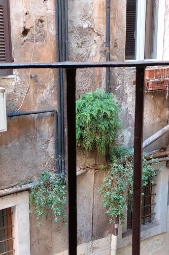 Cappellari37 - Tap to explore photos