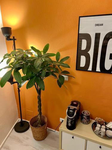 Charming Navona - The Loft Room Type - Duplex Apartment