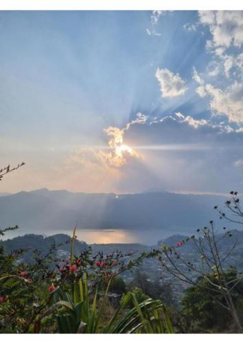 Into The Wild Pokhara - Tap to explore photos