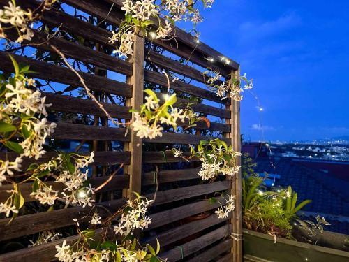 Lovely Panoramic Studio - Tap to explore photos