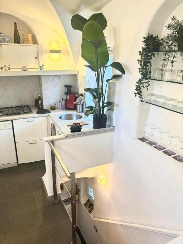 Navona Luxury Suite Apartment - Tap to explore photos