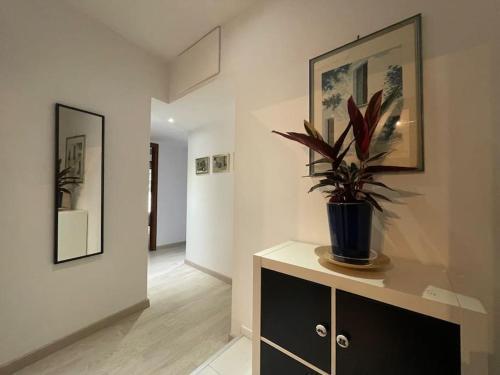 Spacious and Bright Room Type - Three-Bedroom Apartment