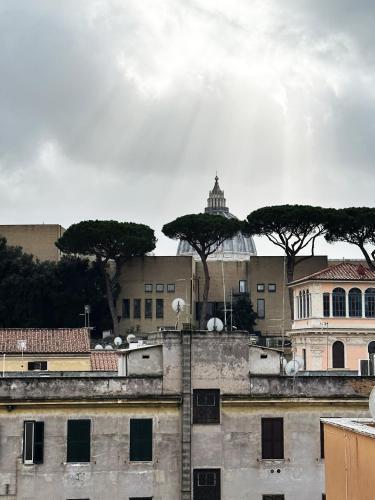 MUSEUM DAY VATICAN - Tap to explore photos