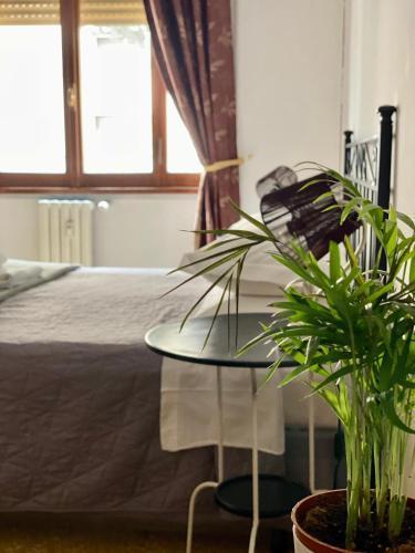 MM Ma Maison Room Type - Budget Double Room