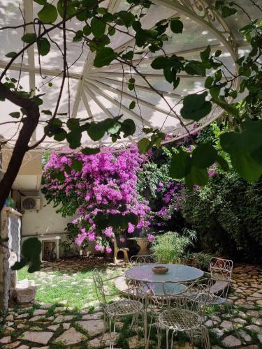 Vatican Fairytale Garden - Tap to explore photos