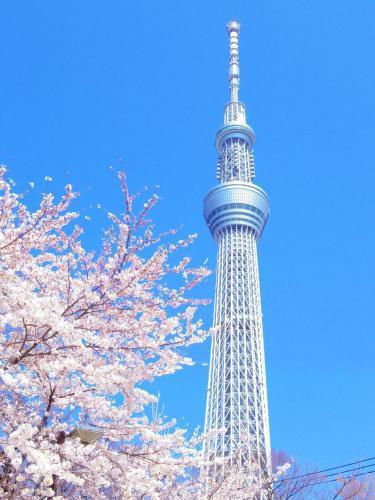 Peace Inn Skytree Tokyo - Tap to explore photos