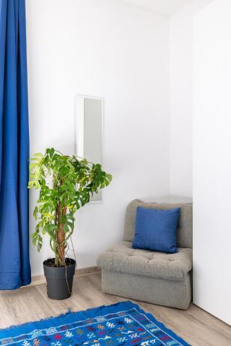 Maison Blu - in Trastevere - Tap to explore photos