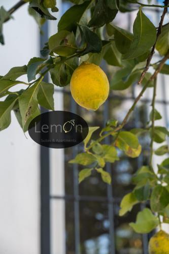 lemon suites Room Type - Apartment with Garden View
