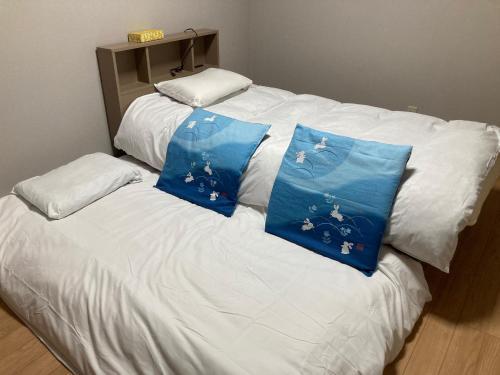 Sky Tree INN (晴樹宿）stay ASAKUSA