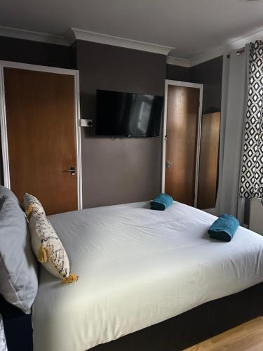 Beautiful Studio Apartment Forest Road Room Type - One-Bedroom Apartment