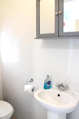 Large Studio Garden Flat on Golders Green Road - Tap to explore photos