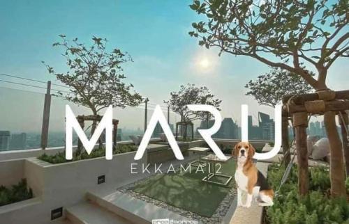 Maru Ekkamai 2 - Ekkamai BTS - Tap to explore photos