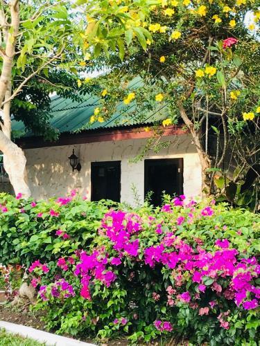Guest House, shared pool, private bathroom and kitchen