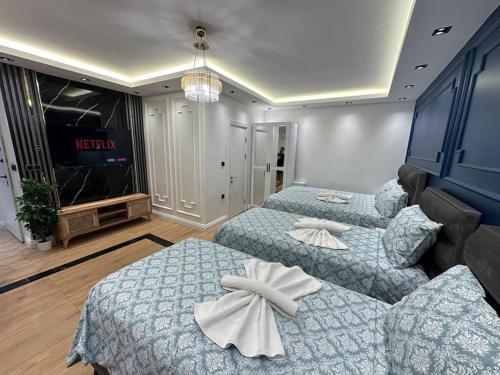THE cozy, below street floor APT
