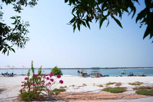 Yas Island Mayan 2 Junior 1 Bed Apartment with Private Beach Access by Central Stay Room Type - Studio Apartment with Balcony Yas Island Mayan 2 Junior 1 Bed Apartment with Private Beach Access by Central Stay Room Type - Studio Apartment with Balcony