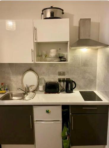 modern studio Apartment sleeps 4 people opposite Westfield Shepherds bush - Tap to explore photos
