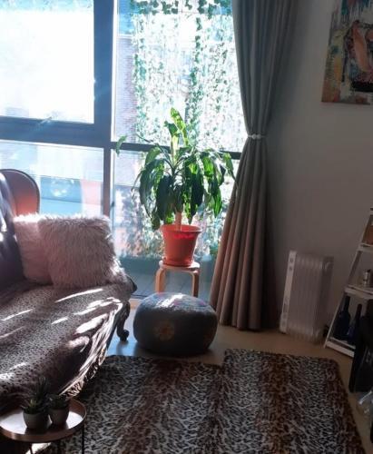 Bright Double Room with balcony - Tap to explore photos