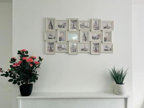 Fantastic Studio flat in great location - Tap to explore photos