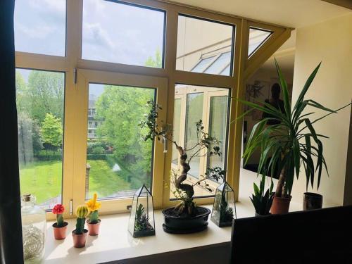 Beautiful 2 bed flat in Chelsea on King’s Road - Tap to explore photos
