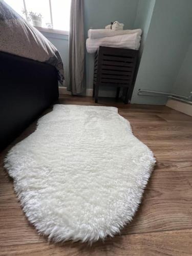 Entire 2 bed flat in London