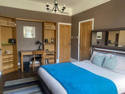 Modern Private Studio Room Room Type - One-Bedroom Apartment