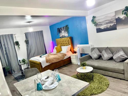 New Deluxe Studio Apt-2 Room Type - One-Bedroom Apartment