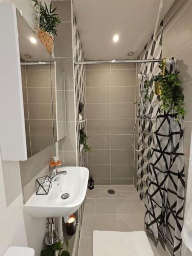 Beautiful and spacious flat - Tap to explore photos