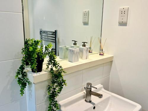 Canary Luxury Modern 1 bedroom Apartment - Tap to explore photos