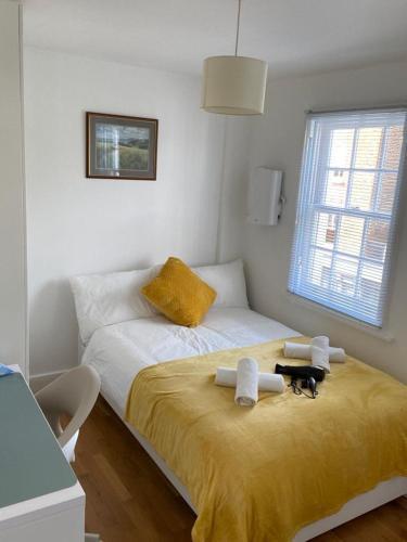Lovely Private Rooms in Euston, Central London Room Type - Double Room