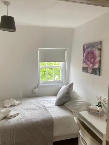 Lovely Private Rooms in Euston, Central London Room Type - Double Room