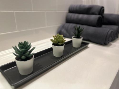 Delightful & Spacious Flat in London - Peckham - Tap to explore photos