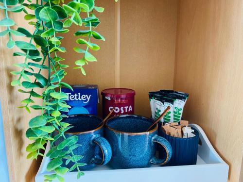 North Greenwhich Homestay - Tap to explore photos