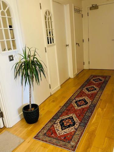North Greenwhich Homestay - Tap to explore photos