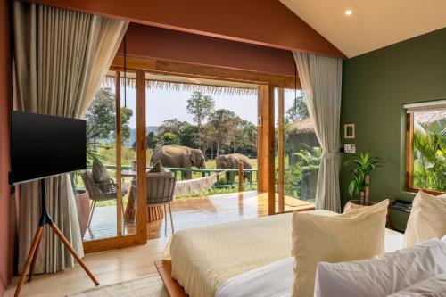 Wild Cottages Elephant Sanctuary Resort Room Type - Executive Suite