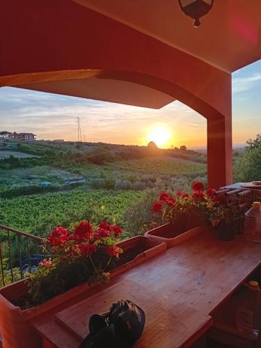 Poggio agli Ulivi vicolo di Colle Reti 22 Frascati