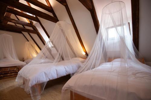 Women's Only Hostel - Female Only Room Type - Single Bed in Female 8-Bed Dormitory Room