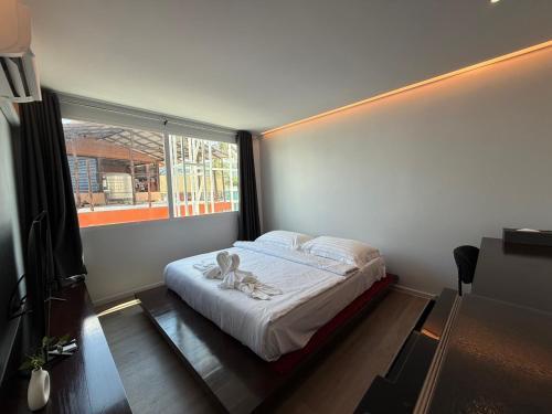 P168 Hostel Samui Room Type - Standard Queen Room